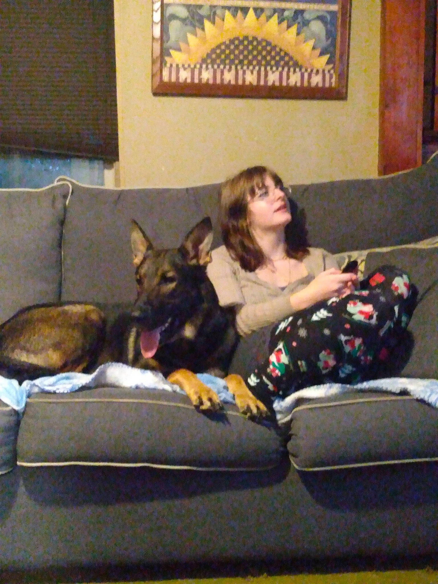 Kai joined the competition — help win amazing prizes! art, canidae, carnivore, comfort, companion_dog, couch, dog, dog_breed, dog_supply, fun, guard_dog, lap, living_room, mammal, picture_frame, room, sitting, sofa_bed, sporting_group, studio_couch