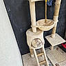 cat, cat_tree, scratching_post, rope_toy, indoor, pet, feline, beige, cozy, peeking, curious, floor_mat, paw_print, ladder, hanging_toy, wall, carpet, corner, resting_spot, home