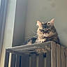Phantom is registered to the contest to win money with this photo: