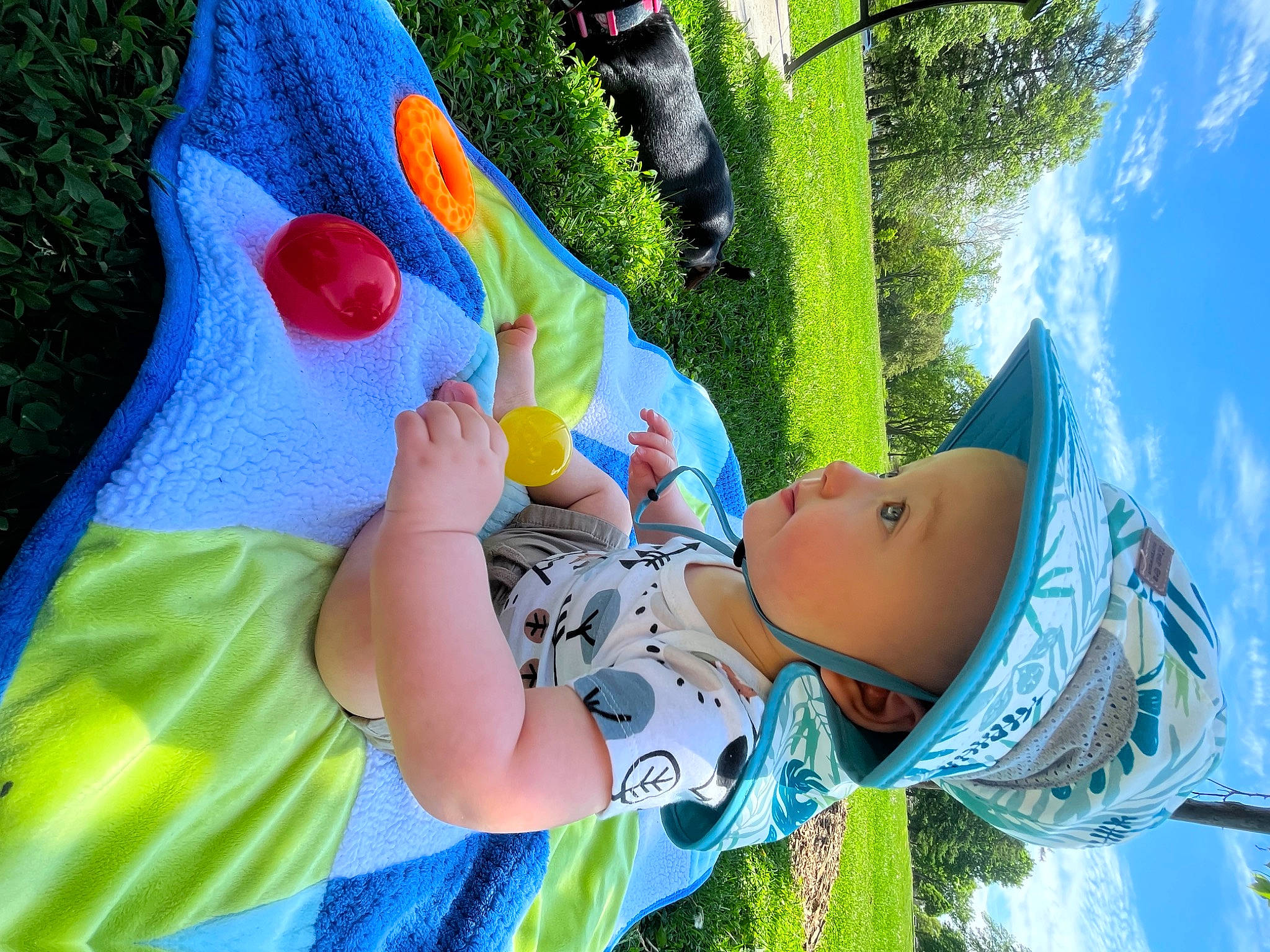 Kal joined the competition — help win amazing prizes! baby, child, electric_blue, fun, grass, green, happy, hat, leaf, leisure, light, pattern, people_in_nature, person, play, recreation, t_shirt, toddler, tree, water