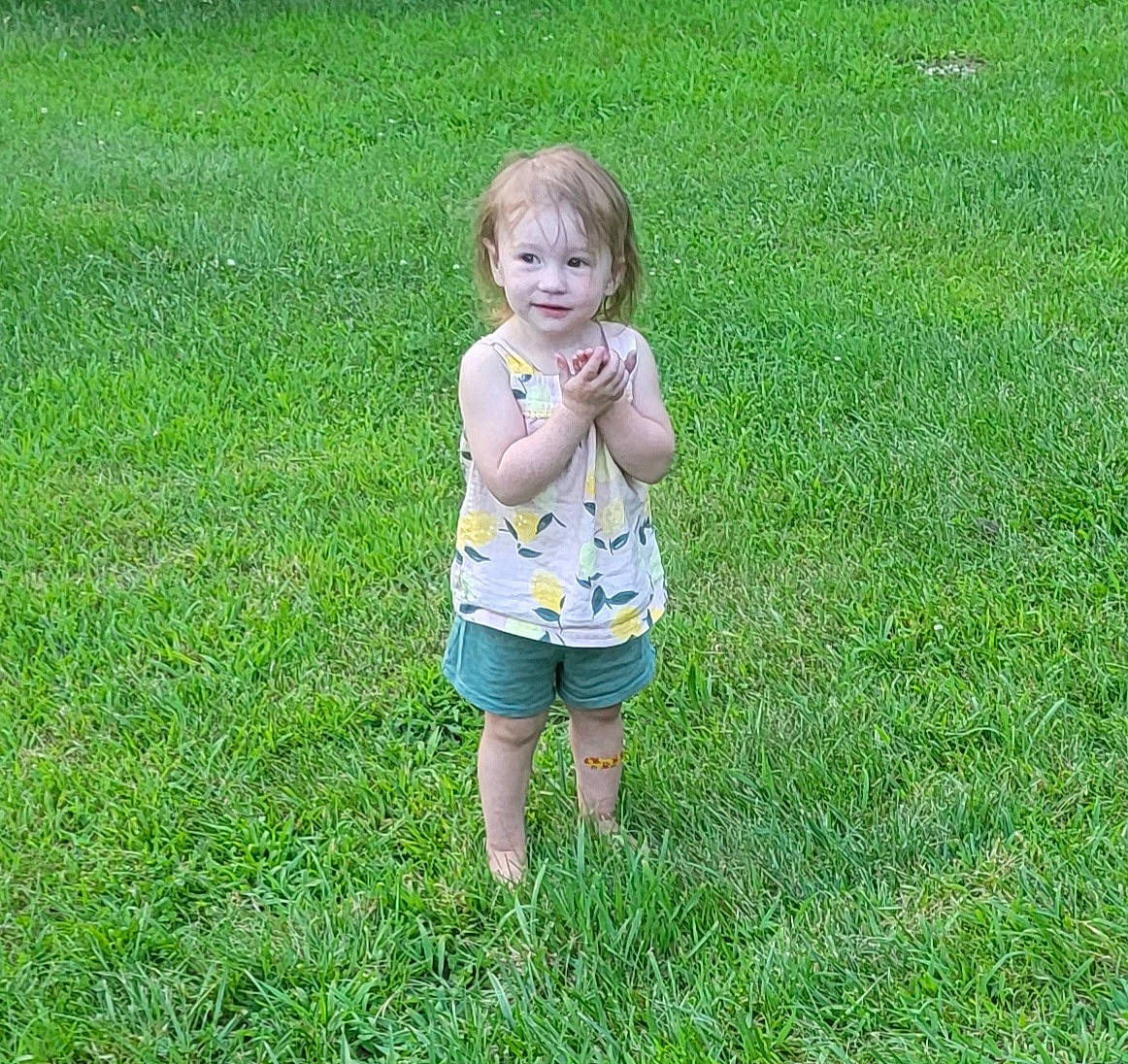 Lillyanna is registered to the contest to win money with this photo: baby, baby_toddler_clothing, child, fun, garden, grass, grass_family, grassland, groundcover, hair, happy, lawn, meadow, people_in_nature, person, plant, recreation, shorts, sitting, t_shirt