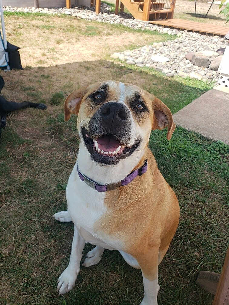 Zola