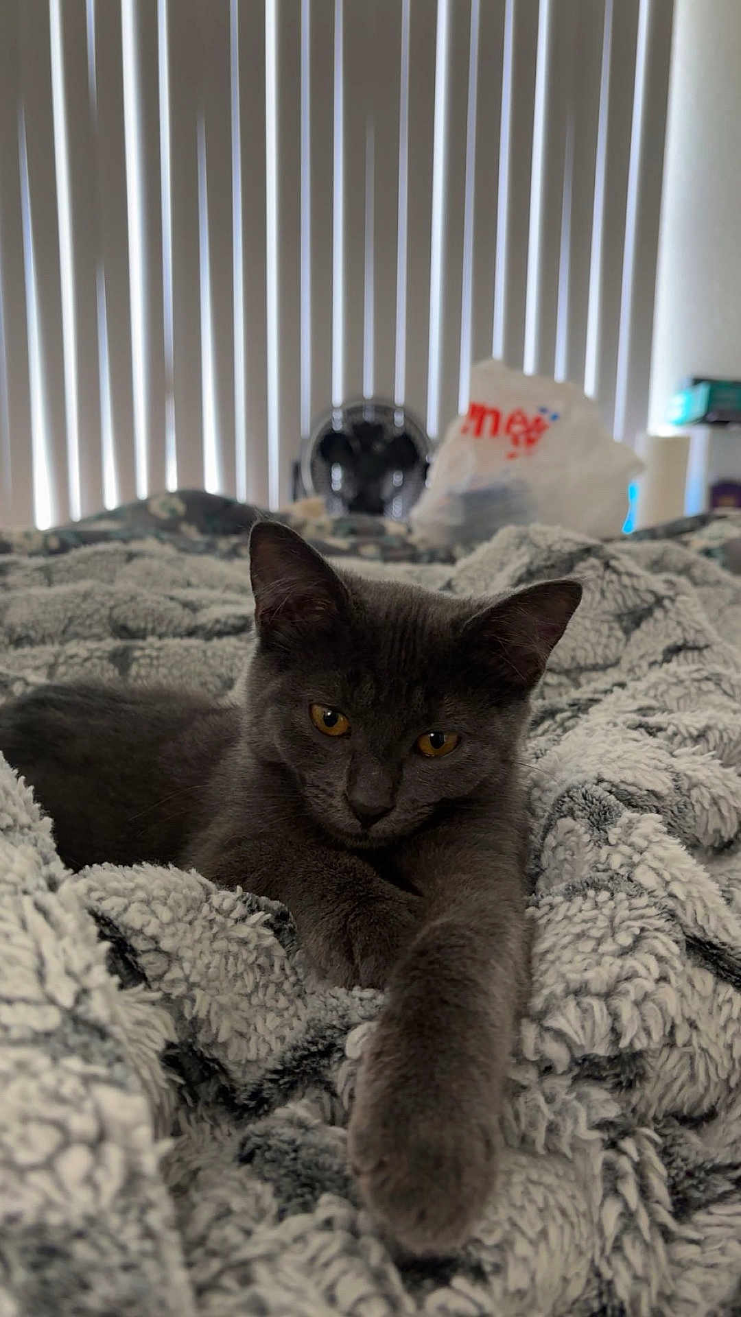 Kylo