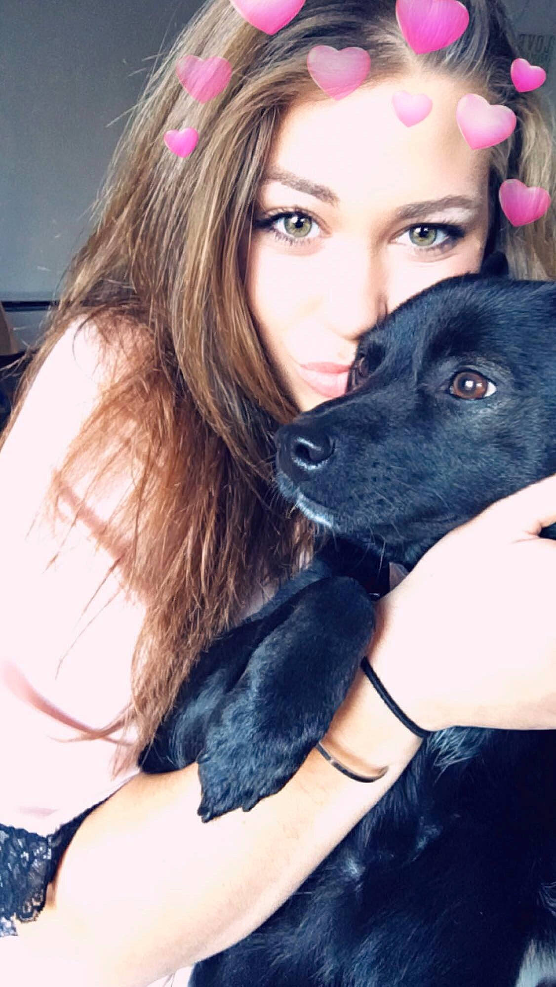 Marley joined the competition — help win amazing prizes! beauty, black_hair, canidae, carnivore, companion_dog, dog, dog_breed, ear, eye, fawn, fur, guard_dog, non_sporting_group, nose, photography, puppy, selfie, snout, sporting_group