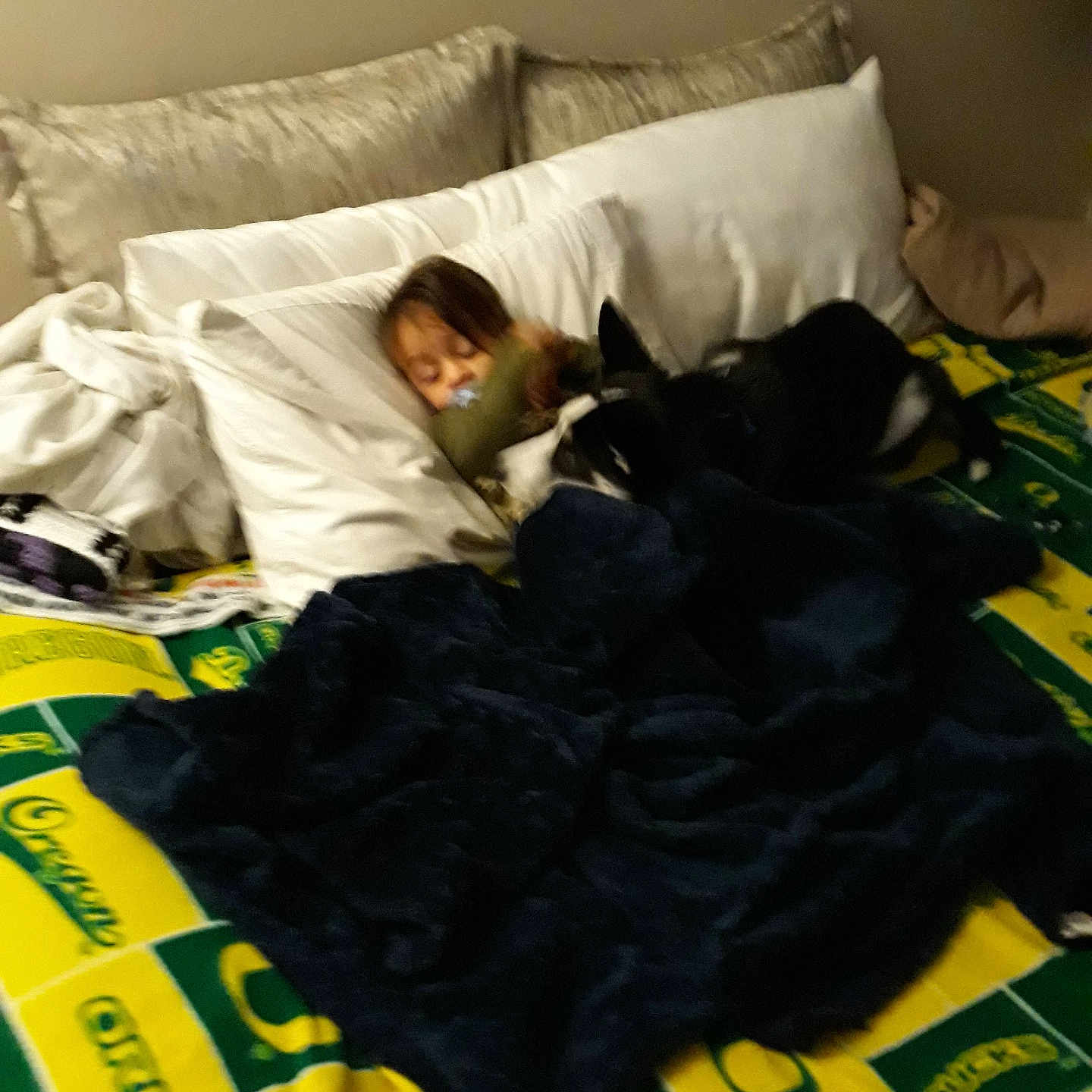 Azure Shine joined the competition — help win amazing prizes! child, dog, bed, blanket, pillow, indoor, sleeping, cozy, furniture, rest, animal, pet, comfort, room, home, dark, lying_down, sleep, blanket_pattern, black_and_white_dog
