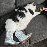 Chips joined the competition — help win amazing prizes! black_and_white, boots, cat, child, couch, cozy, fluffy, footwear, furniture, game_controller, glasses, gray, indoor, lying_down, pet, playful, relaxing, remote_control, star_pattern, toy