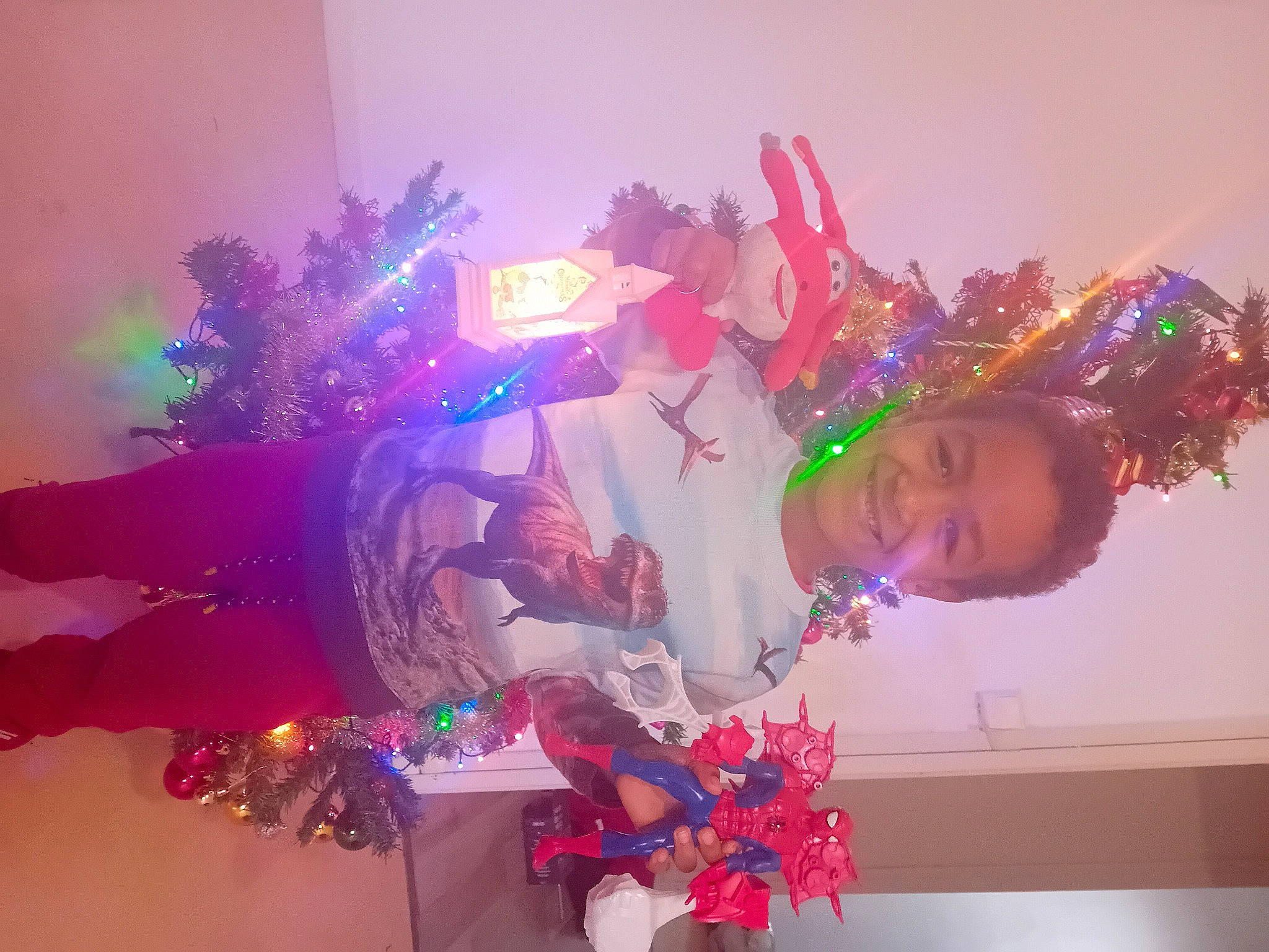 Dylan a rejoint le concours — aidez-le/la à gagner de superbes lots ! christmas, christmas_decoration, christmas_eve, christmas_lights, christmas_ornament, christmas_tree, event, fun, happy, holiday, holiday_ornament, joy, magenta, ornament, person, pink, plant, purple, smile, tree