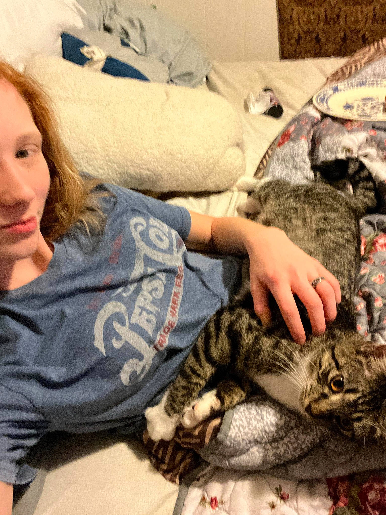 Jackie Chan is registered to the contest to win money with this photo: carnivore, cat, child, comfort, couch, domestic_short_haired_cat, felidae, fur, linens, mammal, military_camouflage, nap, pattern, sitting, sleep, small_to_medium_sized_cats, t_shirt, vertebrate, whiskers, wildlife