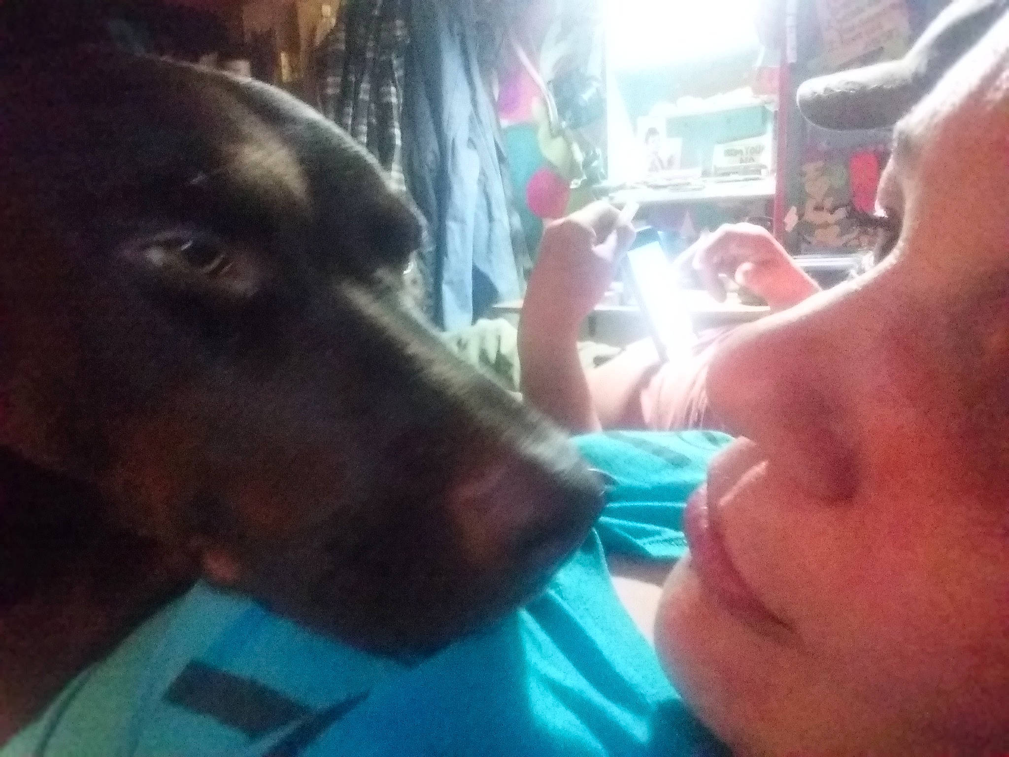 Luna is registered to the contest to win money with this photo: carnivore, companion_dog, cool, dog, dog_breed, ear, eyewear, fawn, fun, gesture, happy, jaw, leisure, mouth, nose, selfie, t_shirt, vertebrate, whiskers, working_animal