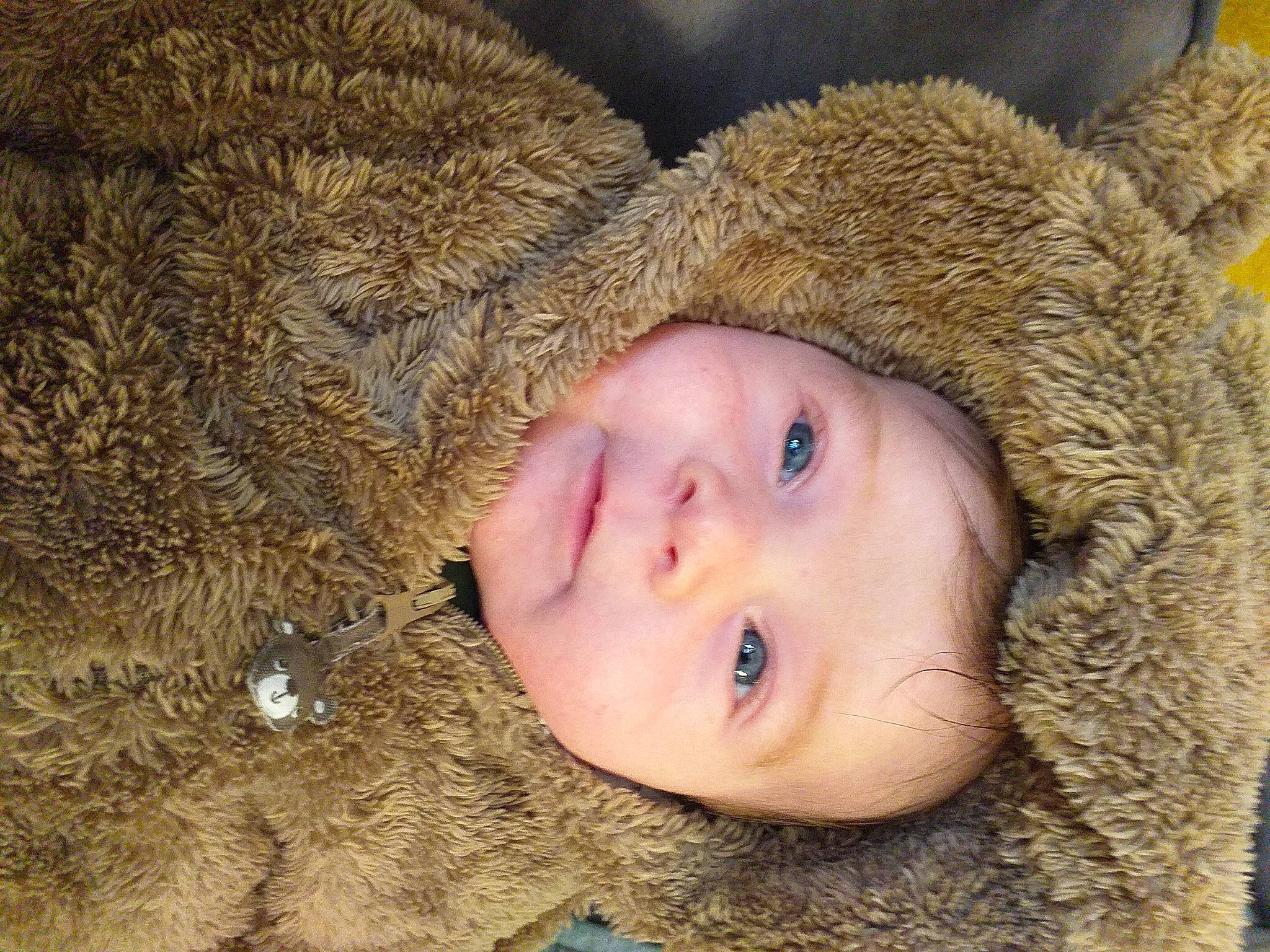 Vincent a rejoint le concours — aidez-le/la à gagner de superbes lots ! animal_product, baby, beige, cheek, fawn, fur, fur_clothing, headwear, iris, lip, natural_material, parka, person, plush, skin, textile, wool, woolen