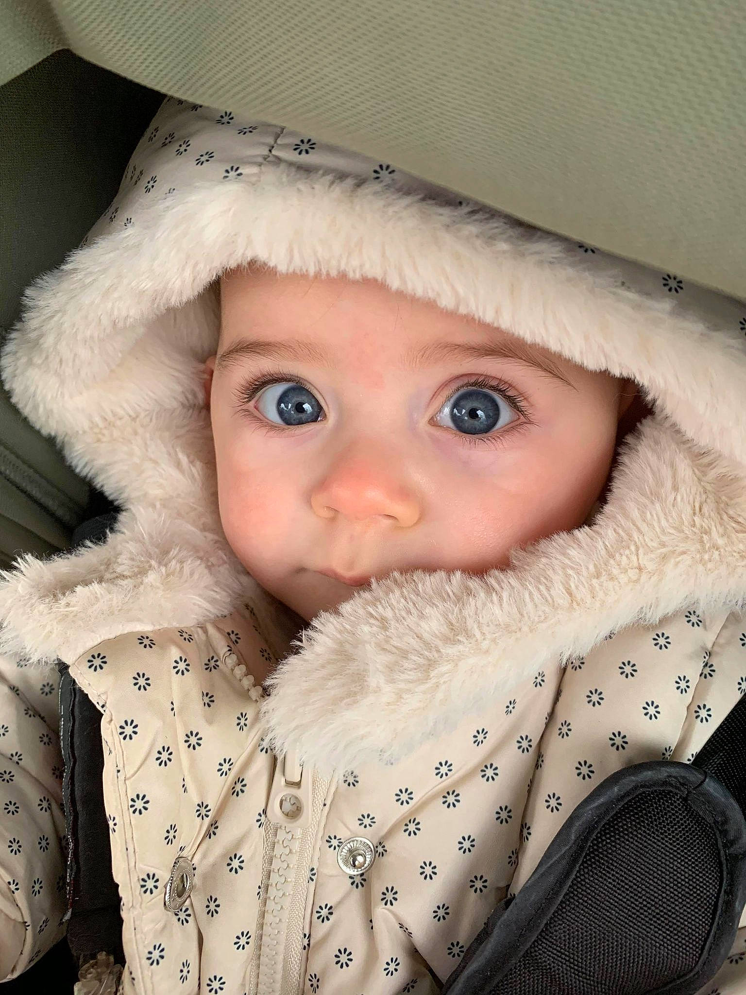 Line participe au concours pour gagner de l'argent avec cette photo : animal_product, baby, baby_products, baby_toddler_clothing, beige, cheek, child, costume_accessory, costume_hat, eye, fur, fur_clothing, headgear, headwear, hood, iris, natural_material, person, skin, textile