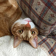 Julious is registered to the contest to win money with this photo: