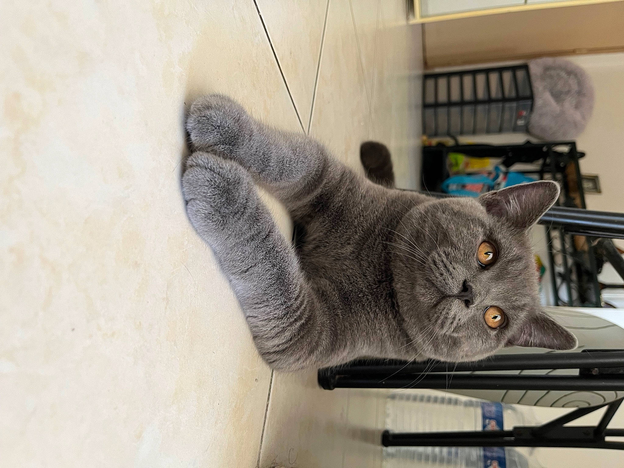 Uki