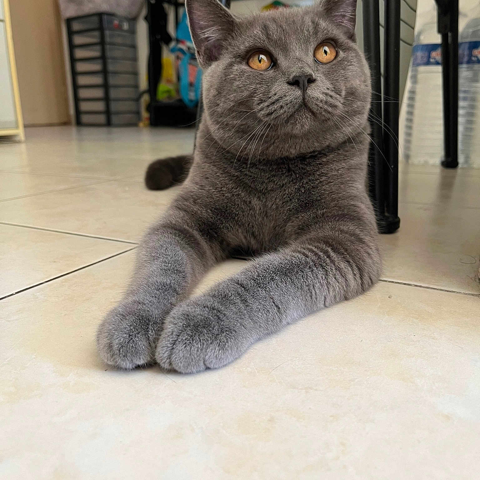 Uki