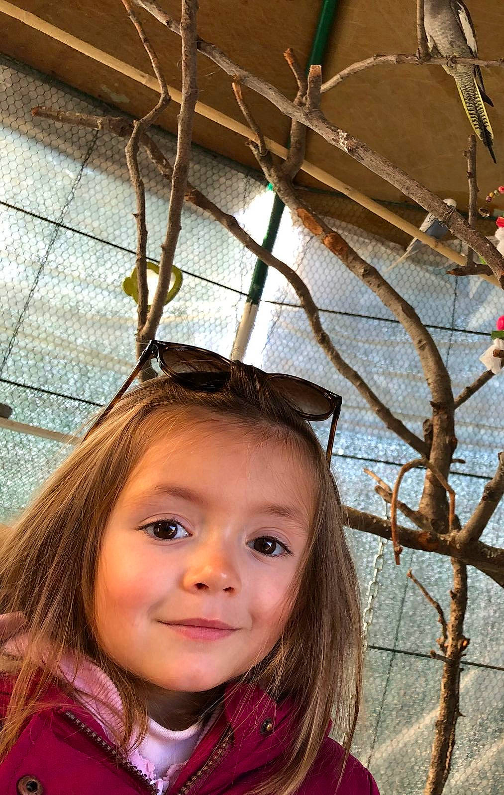 Carlie participe au concours pour gagner de l'argent avec cette photo : beauty, branch, clothing, eyewear, face, happy, head, jacket, joy, leisure, lip, long_hair, people_in_nature, person, photograph, snapshot, tints_and_shades, toddler, twig, white