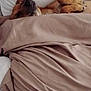 Baby is registered to the contest to win money with this photo: animal, bed, blanket, brown, canine, comfort, cozy, cute, dog, domestic, fur, home, indoor, pet, pillow, relaxing, resting, sleeping, snuggled, soft