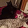 Bagheera Et Sienna