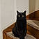 Bagheera