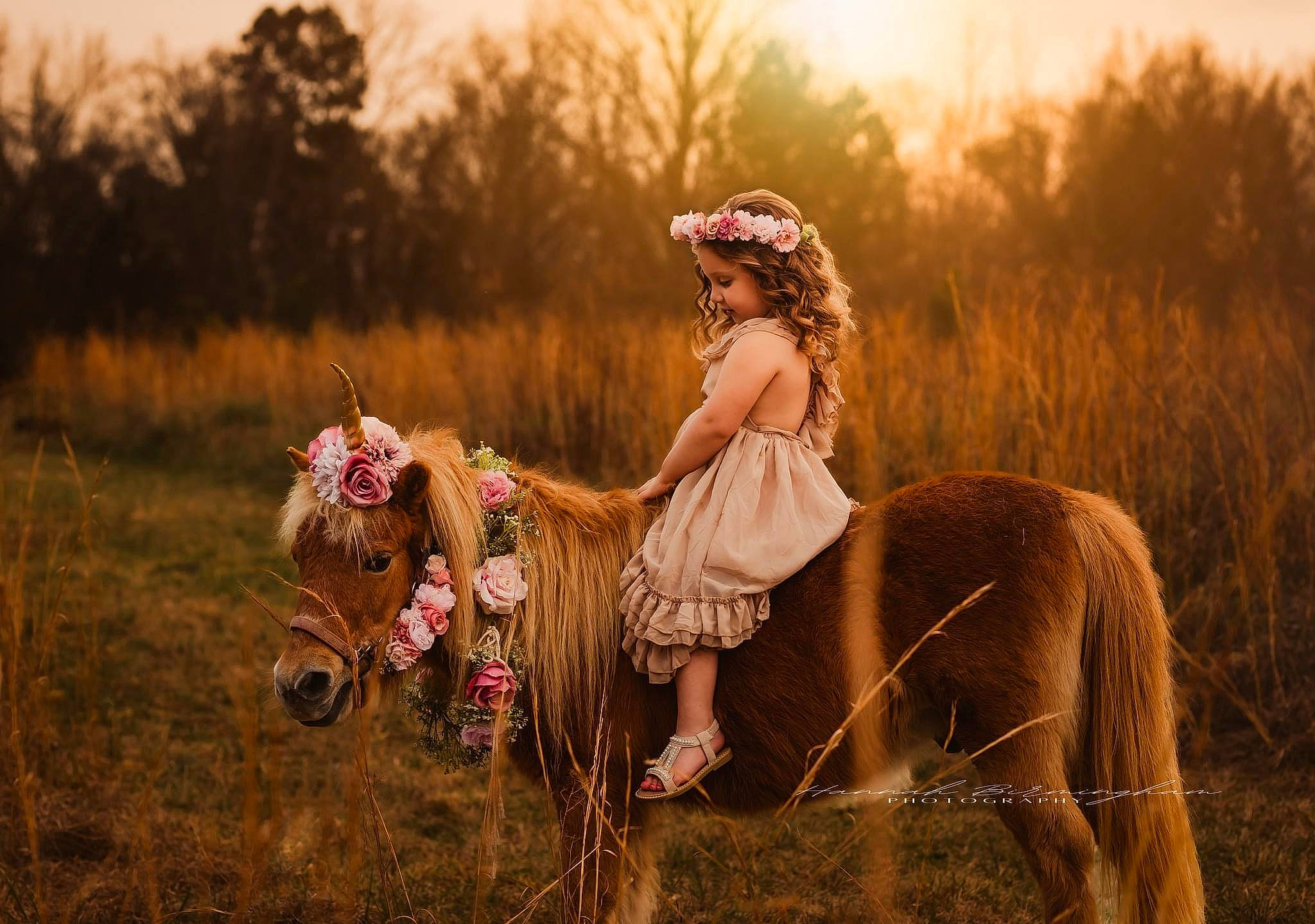 Bailey is registered to the contest to win money with this photo: cowboy_boot, dress, fawn, field, flash_photography, fun, grass, grass_family, grassland, happy, helmet, landscape, meadow, people_in_nature, person, plant, prairie, sky, sunlight, tree