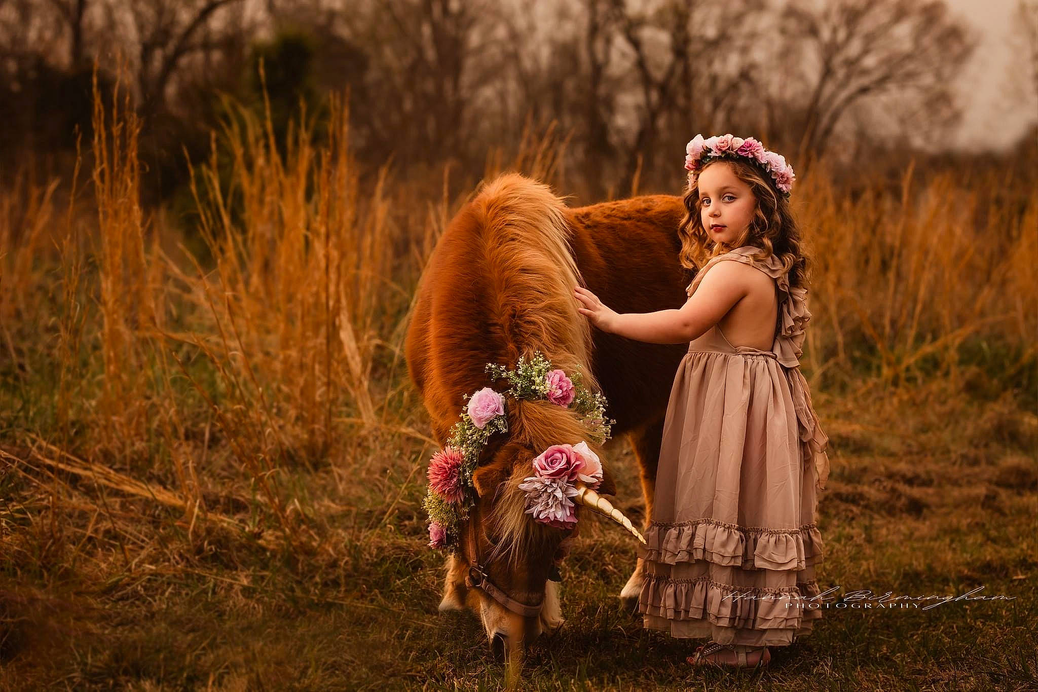 Bailey is registered to the contest to win money with this photo: dress, fawn, flash_photography, friendship, fun, grass, grass_family, grassland, happy, interaction, landscape, leaf, long_hair, meadow, natural_landscape, people_in_nature, person, plant, sunlight, tree