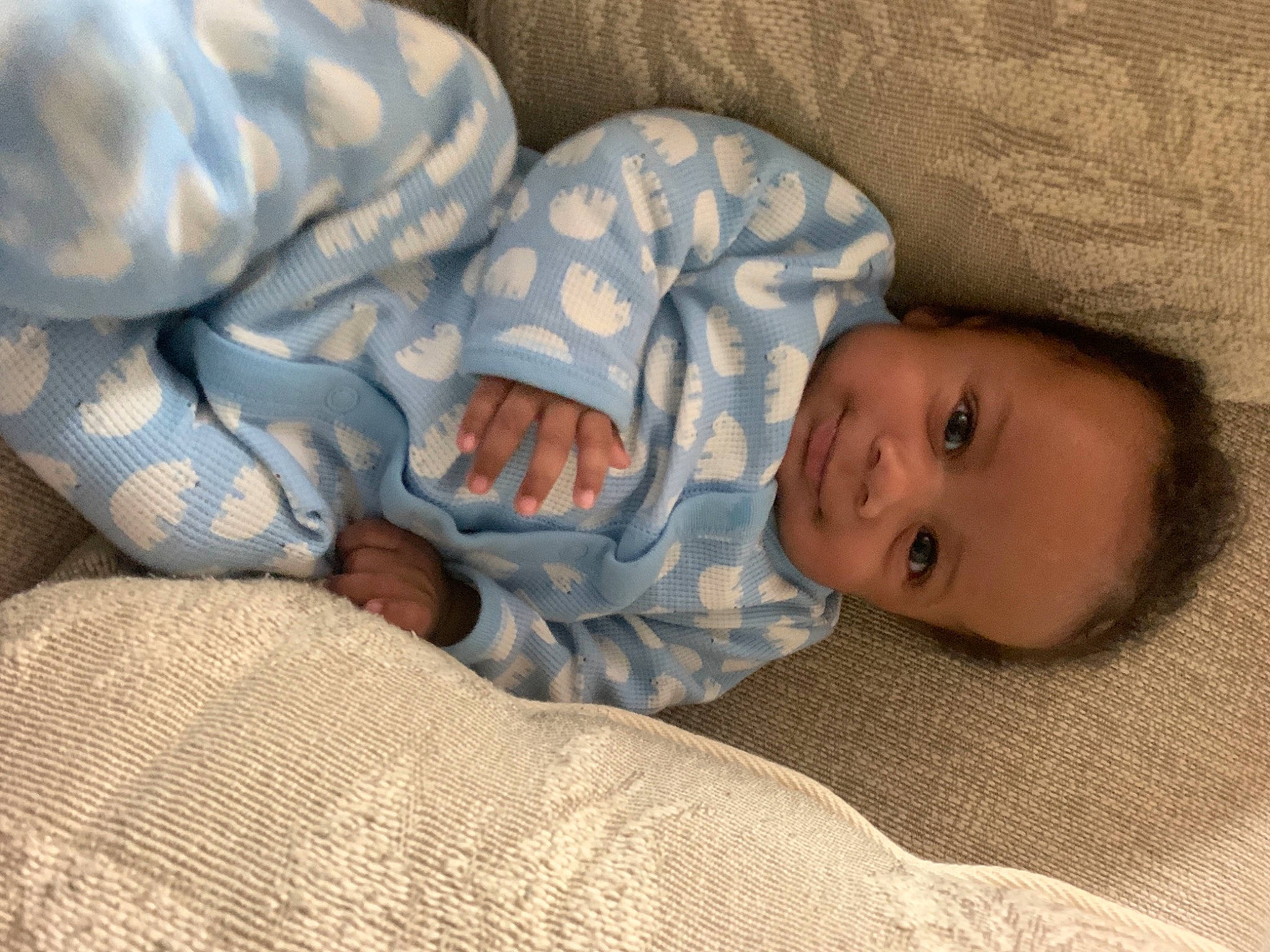 Cj is registered to the contest to win money with this photo: baby, baby_toddler_clothing, bedding, bedtime, child, comfort, eye, fur, grey, head, linens, nap, nose, person, room, sitting, skin, textile, toddler, tree