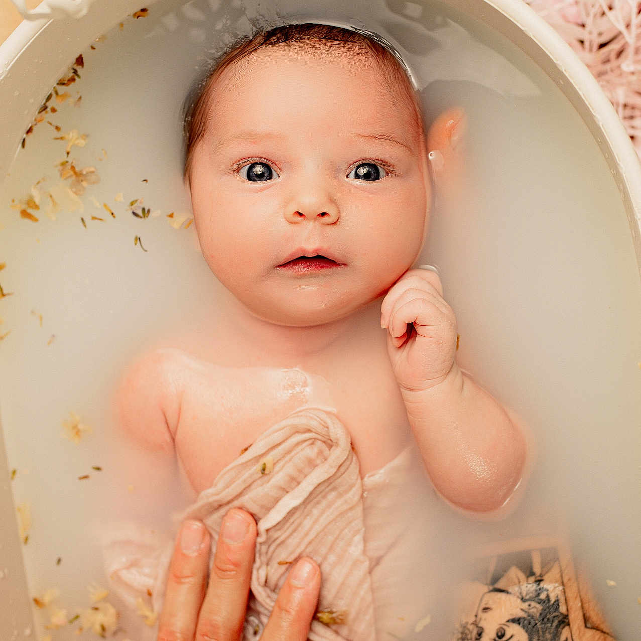 Aerith a rejoint le concours — aidez-le/la à gagner de superbes lots ! baby, bath, child, closeup, cute, flower_petals, gentle_touch, hand, indoor, infant, milky_bath, newborn, peaceful, portrait, relaxation, skin, soaking, soft_light, tattoo, water