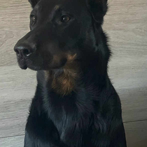 Una