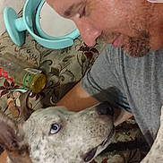 Puddle is registered to the contest to win money with this photo: affection, animal, beard, blue_eyes, brown_hair, casual_clothing, close_up, collar, couch, dog, domestic, face, human, indoor, interaction, love, man, patterned_fabric, pet, short_hair