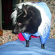 Daddy a rejoint le concours — aidez-le/la à gagner de superbes lots !