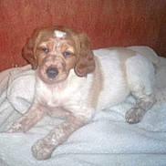 Bouboule participe au concours pour gagner de l'argent avec cette photo :