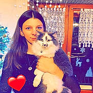 Sunday a rejoint le concours — aidez-le/la à gagner de superbes lots ! black_hair, blue, carnivore, cat, companion_dog, event, fashion_design, fawn, felidae, formal_wear, fun, hairstyle, happy, lap, long_hair, small_to_medium_sized_cats, textile, thigh, tree, whiskers