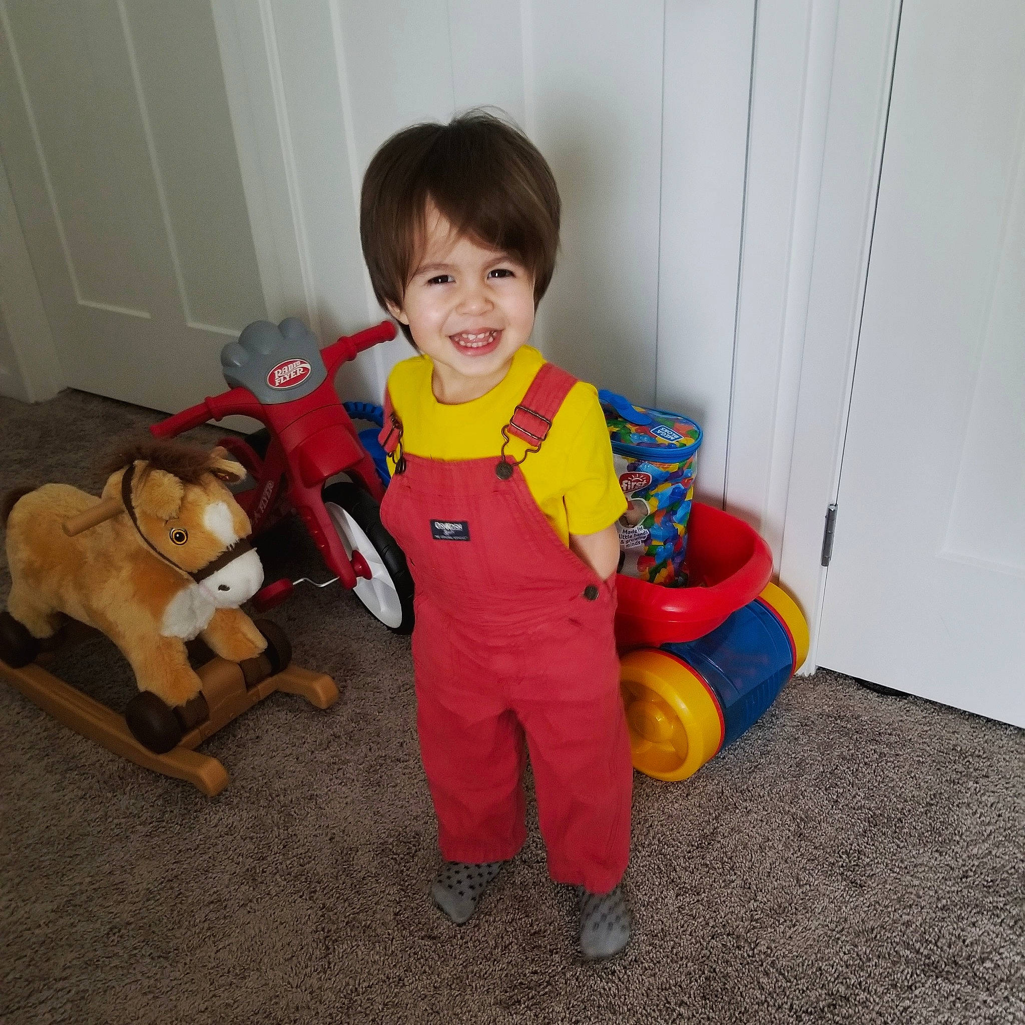 Jasper joined the competition — help win amazing prizes! canidae, child, companion_dog, dog_breed, joy, outerwear, person, play, sitting, sporting_group, stuffed_toy, toddler, toy