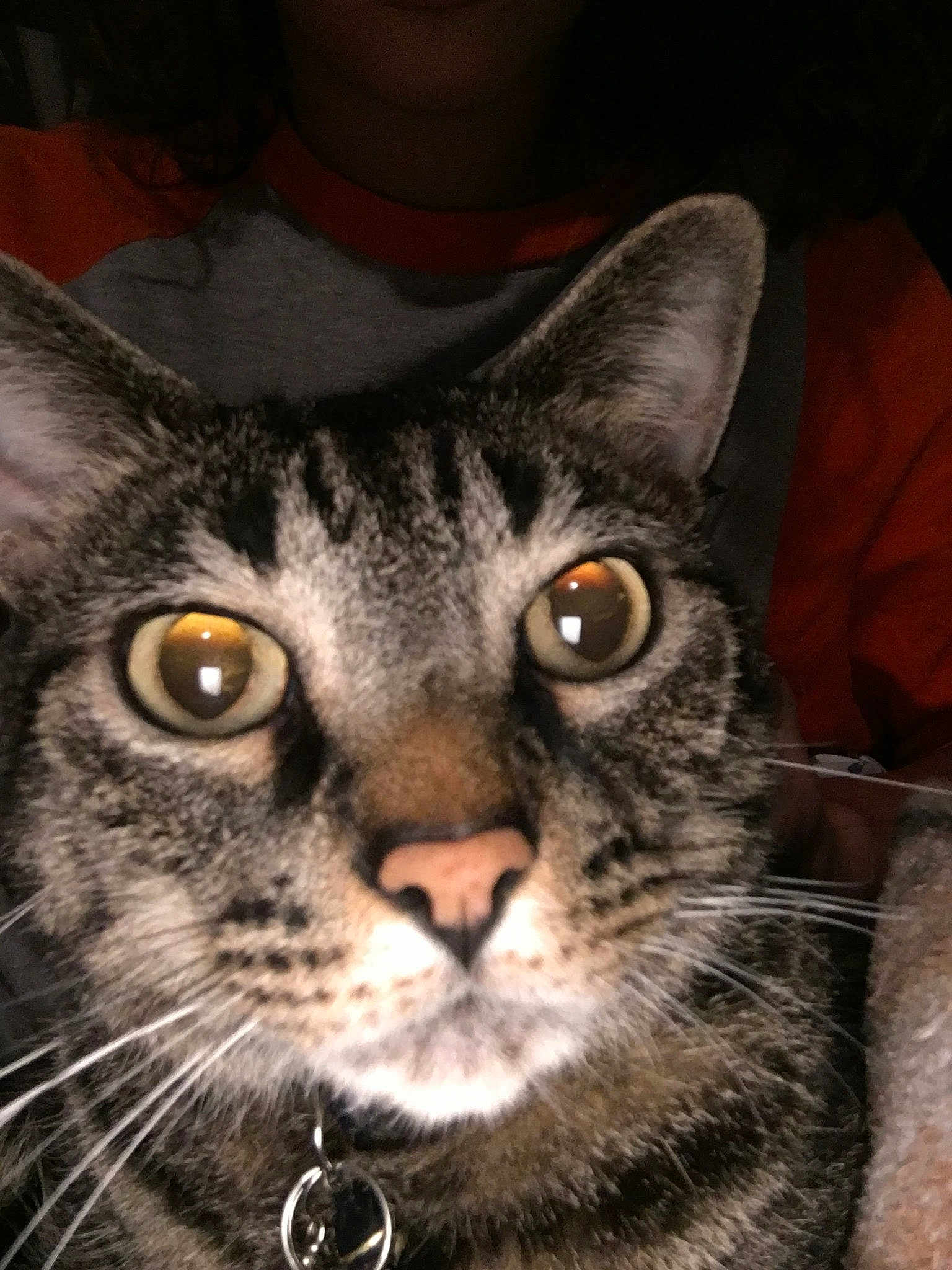 Riley