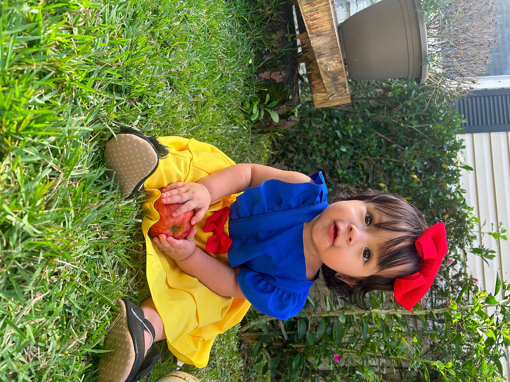 Angelica joined the competition — help win amazing prizes! baby_toddler_clothing, botany, child, electric_blue, fun, garden, grass, grass_family, groundcover, happy, hat, leaf, leisure, people_in_nature, person, plant, recreation, sandal, shrub, smile