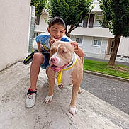 Maya participe au concours pour gagner de l'argent avec cette photo : animal, boy, casual_clothing, child, concrete, daylight, dog, friendship, grass, happy, outdoor, pet, playful, residential_building, sidewalk, smile, sneakers, summer, tree, yellow_bandana