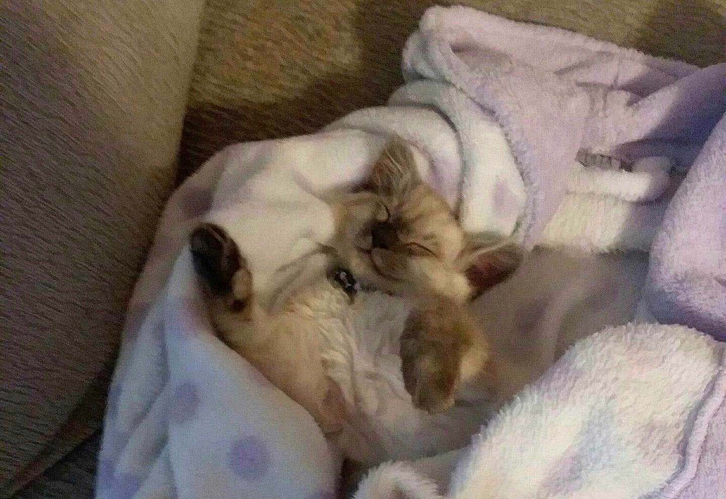 Mama