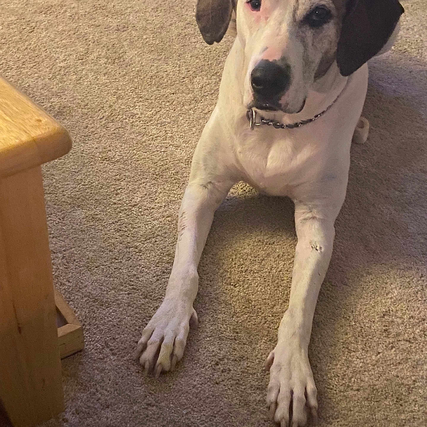 Samantha