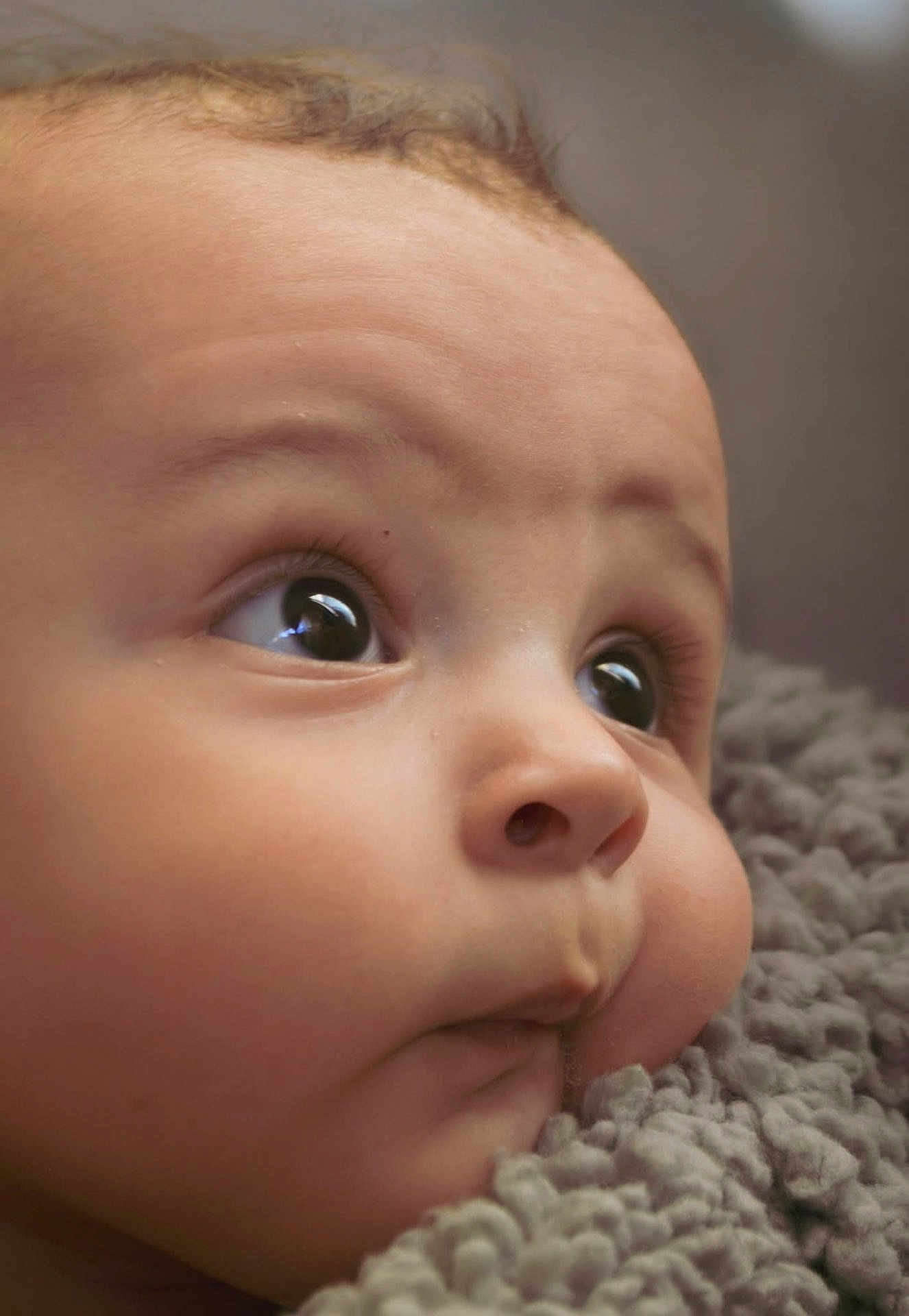 Brody is registered to the contest to win money with this photo: baby, close_up, face, eyes, infant, skin, blanket, soft_texture, cozy, portrait, cute, child, expression, newborn, cheeks, nose, eyelashes, warm, innocence, resting