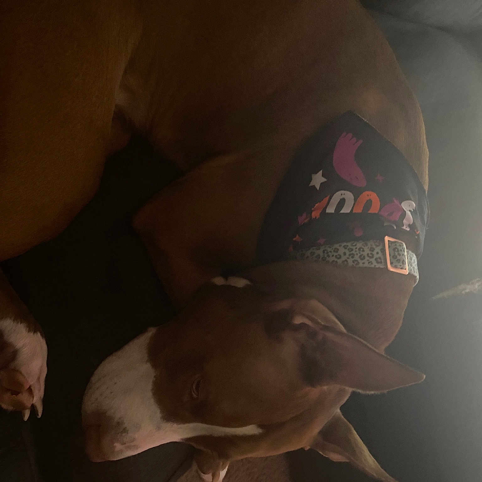 Koda is registered to the contest to win money with this photo: baseball_cap, cap, chest, cricket_cap, darkness, elbow, eyewear, flash_photography, flesh, font, gesture, hat, human_body, human_leg, jaw, neck, sleeve, sunglasses, trunk, wrist