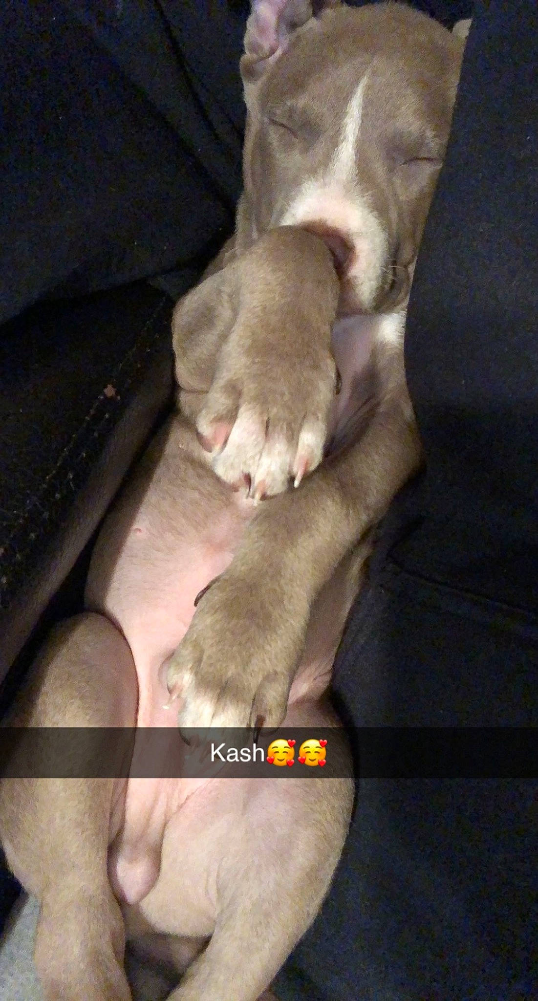 Kash