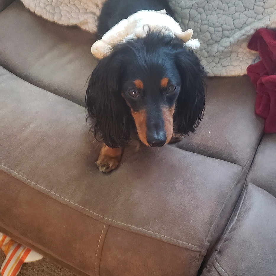 Milo