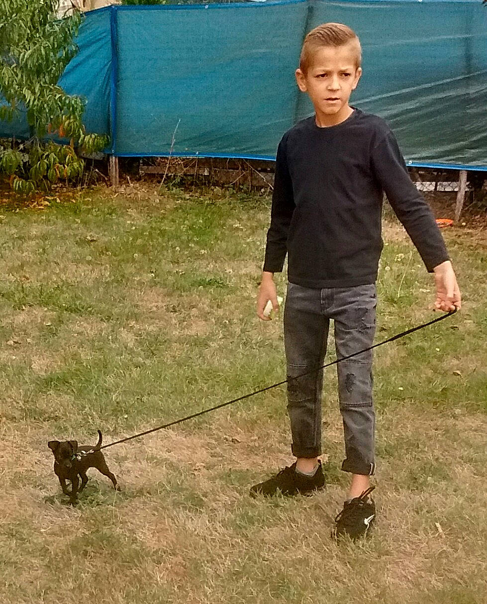 Bonbon a rejoint le concours — aidez-le/la à gagner de superbes lots ! dog, dog_like_mammal, dog_walking, fun, grass, lawn, leash, male, mammal, obedience_training, person, plant, recreation, vertebrate