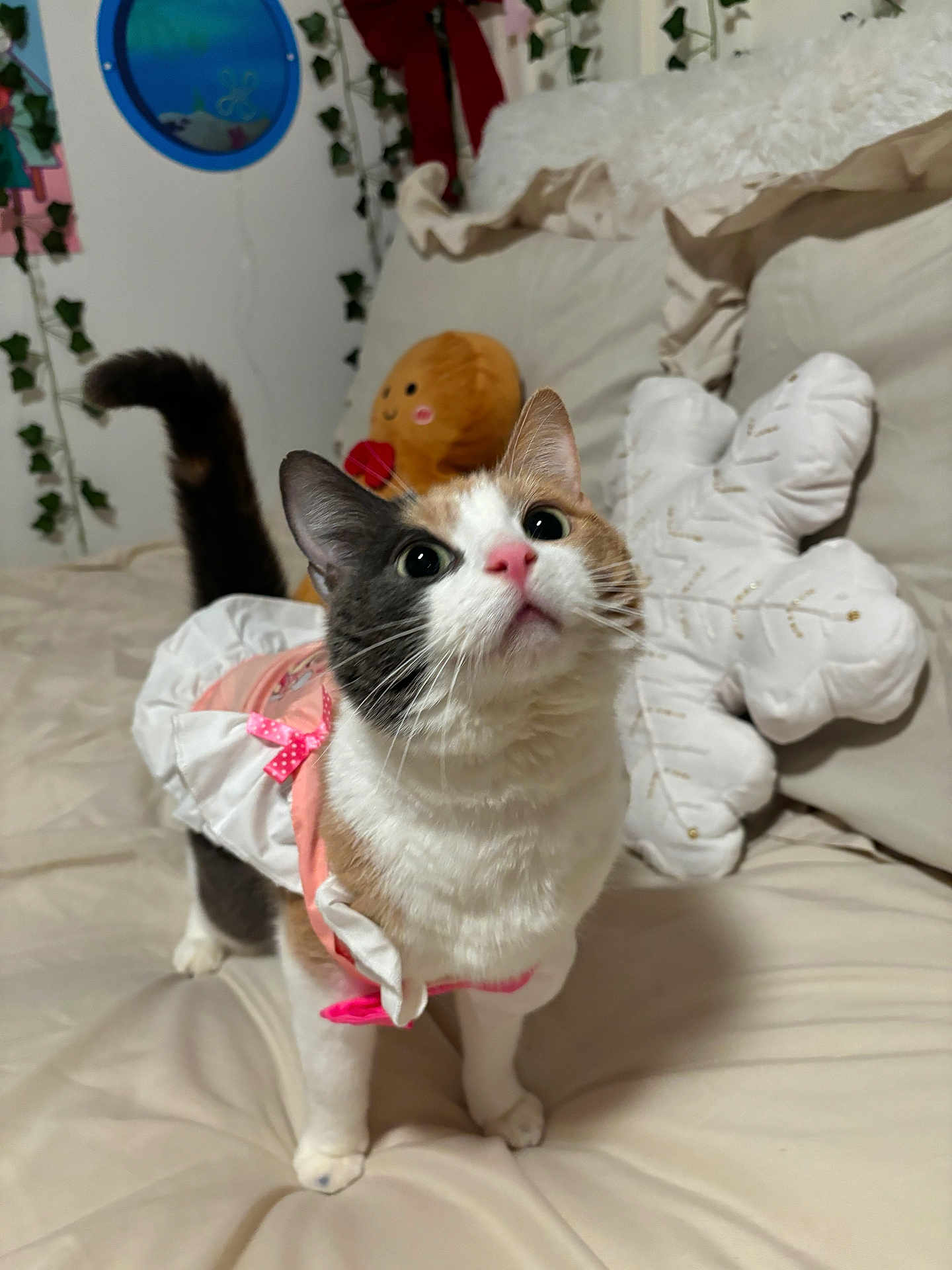Mercy Angel is registered to the contest to win money with this photo: cat, calico_cat, pet, bed, pillow, plush_toy, costume, indoor, curious, feline, whiskers, pink_bow, white_fur, brown_fur, black_fur, decor, blanket, cute, domestic_animal, soft_lighting