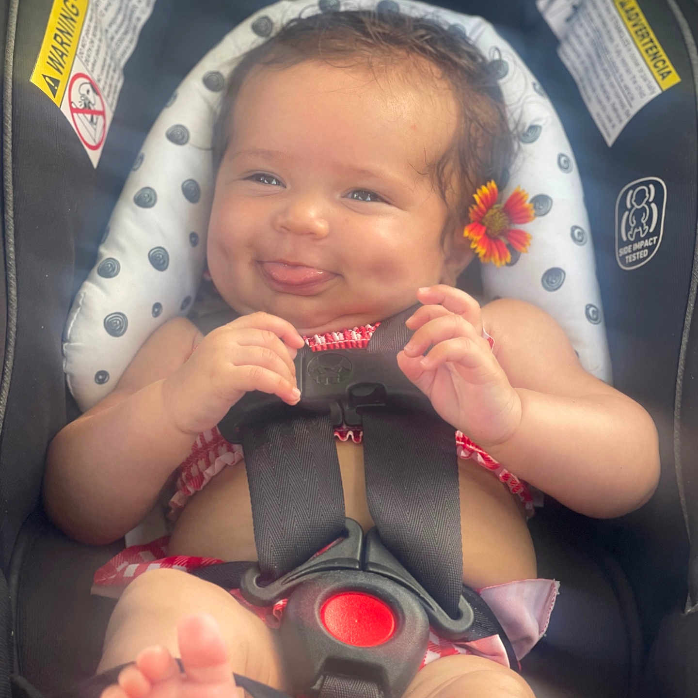 Seraphina is registered to the contest to win money with this photo: baby, car_seat, cheeks, child, clothing, cute, feet, flower, hands, happy, head, indoors, infant, portrait, safety, seat, skin, smiling, straps, tongue