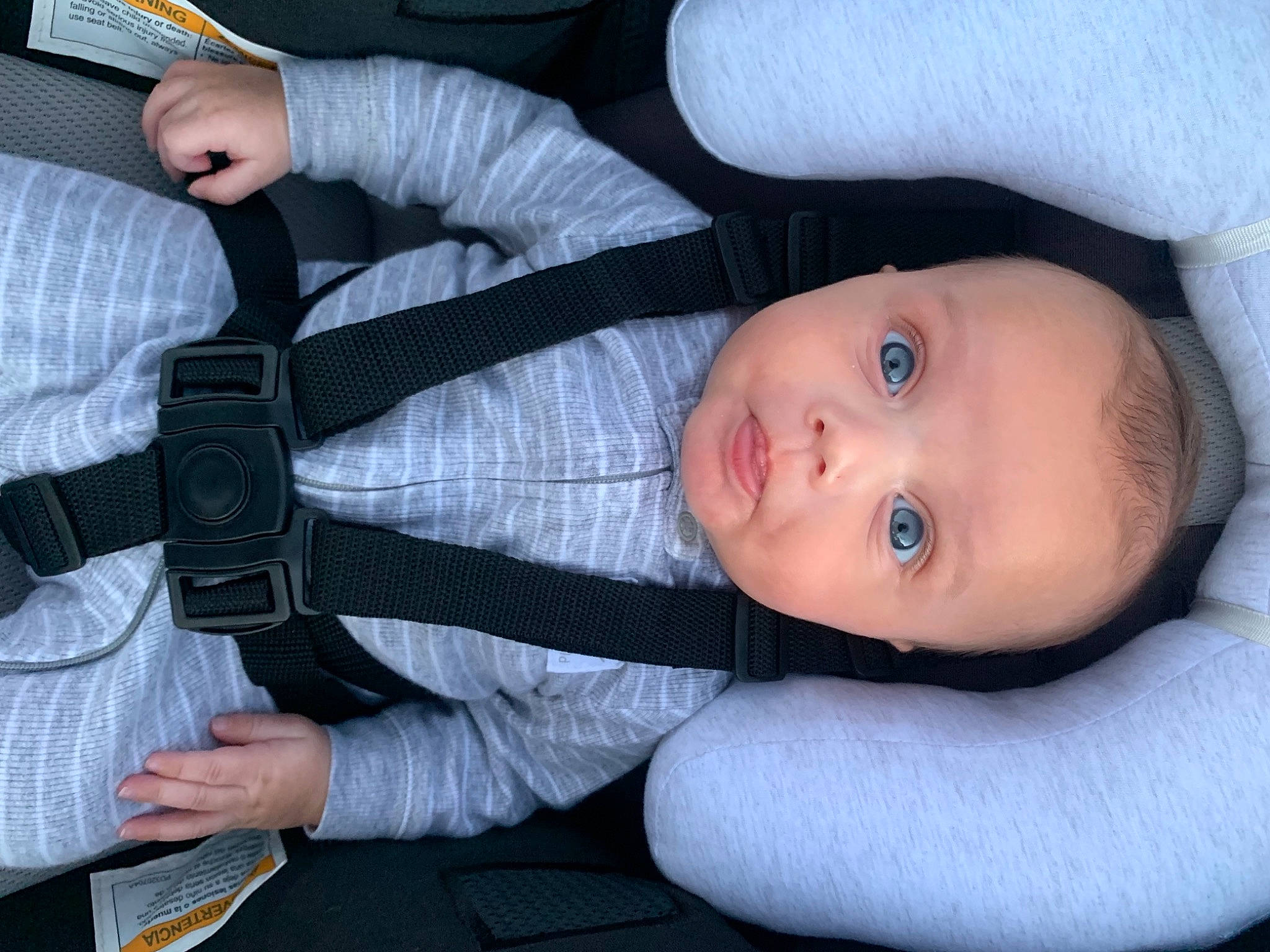Greysen joined the competition — help win amazing prizes! arm, baby, baby_carriage, baby_products, baby_toddler_clothing, cheek, child, comfort, finger, gesture, hand, human_body, nail, nose, person, plant, sitting, skin, sleeve, thumb