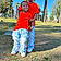 Jamir
