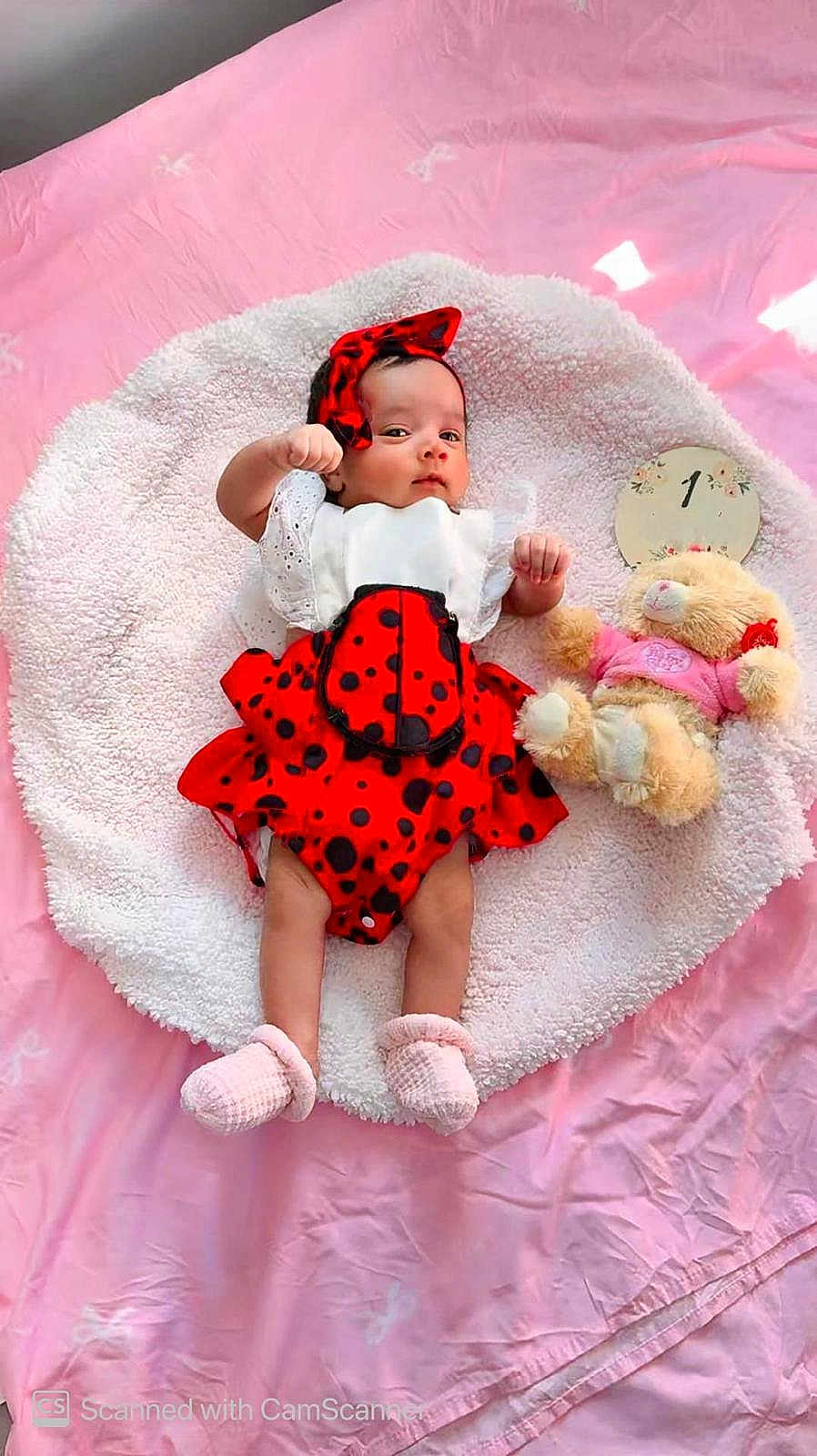 Jiana joined the competition — help win amazing prizes! baby, infant, ladybug_costume, headband, pink_booties, teddy_bear, soft_toy, white_blanket, pink_bedspread, month_marker, child, cute, lying_down, indoors, portrait, adorable, newborn, clothing, baby_fashion, resting