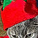 Mittens