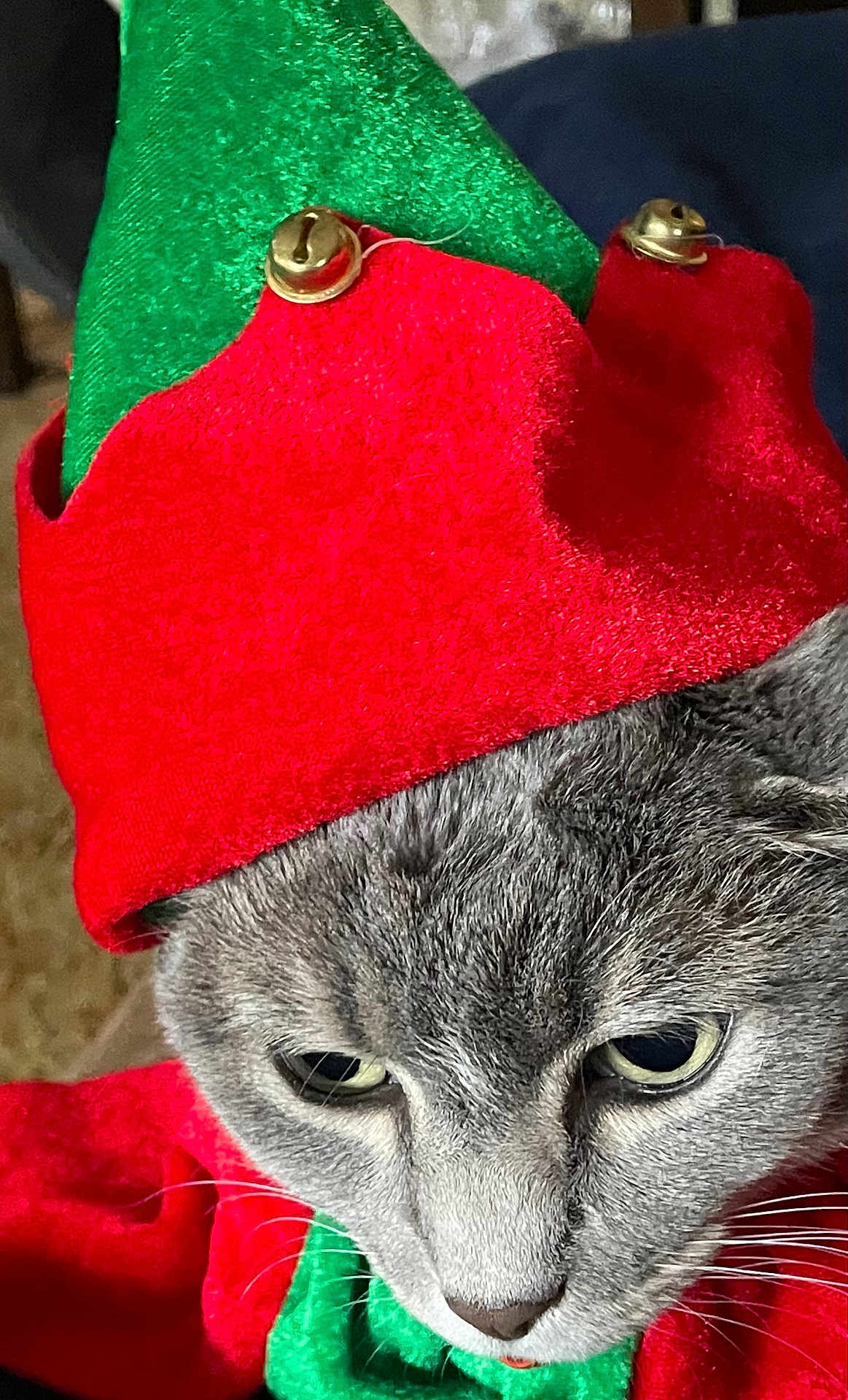 Mittens
