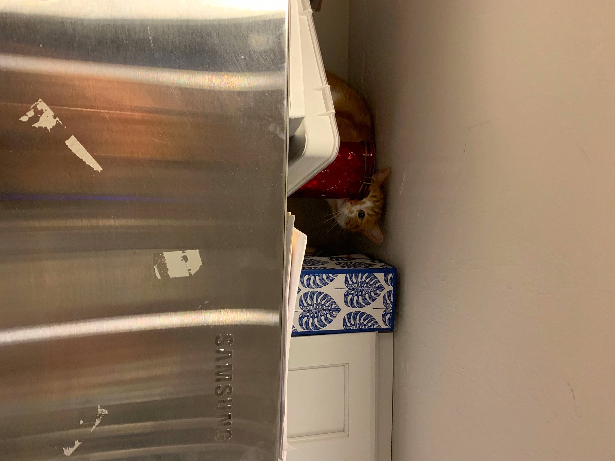 Cheshire is registered to the contest to win money with this photo: house, material_property, room